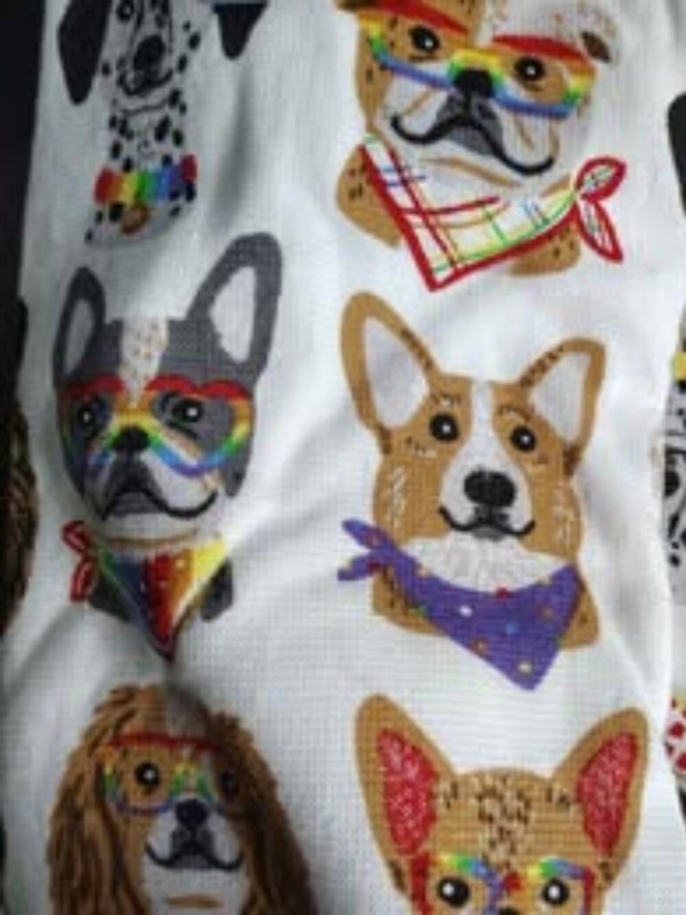 Humane Society 2pc Juneteenth Kitchen Towel Set